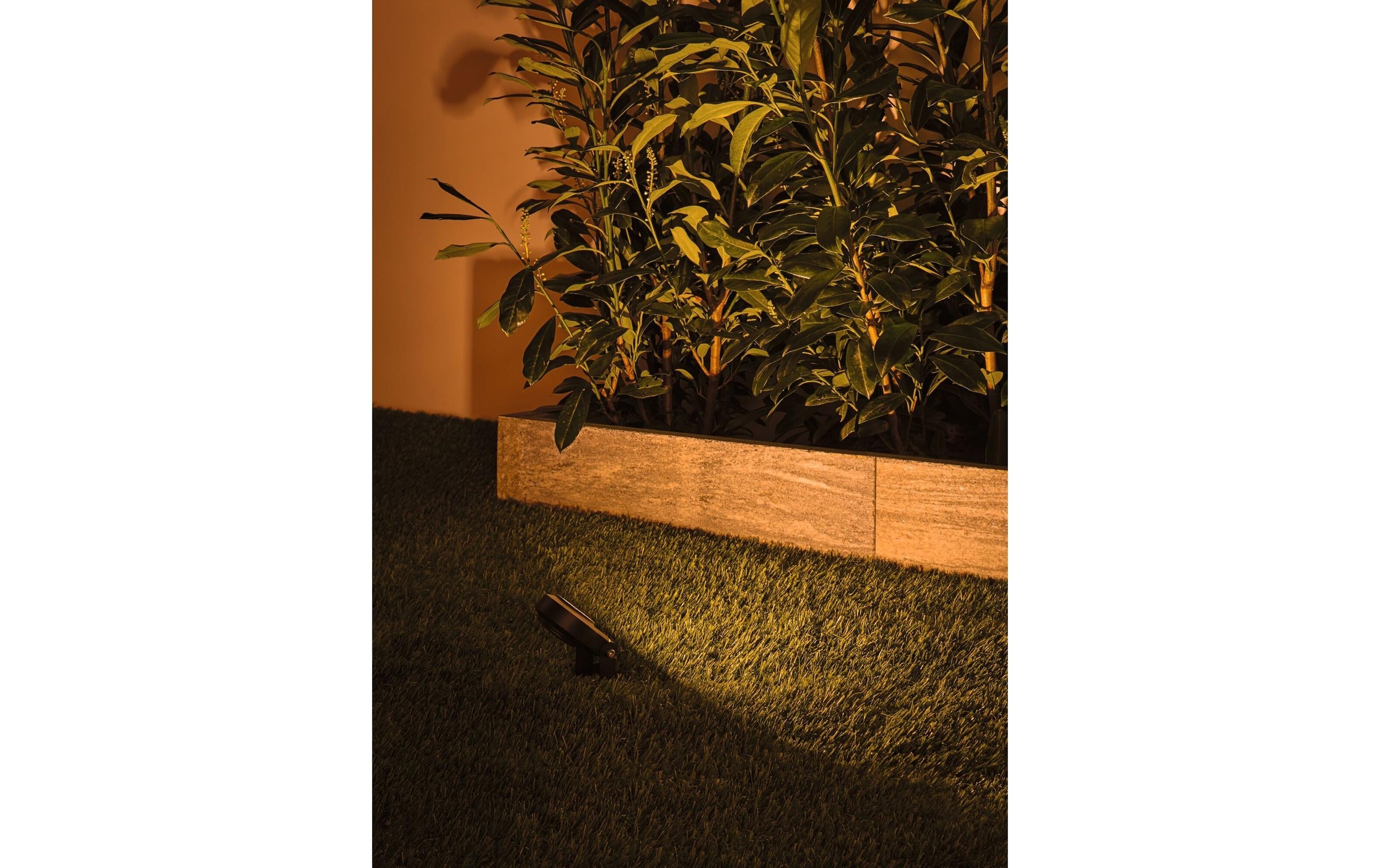 Paulmann Gartenleuchte »Plug & Shine Spot Sting«