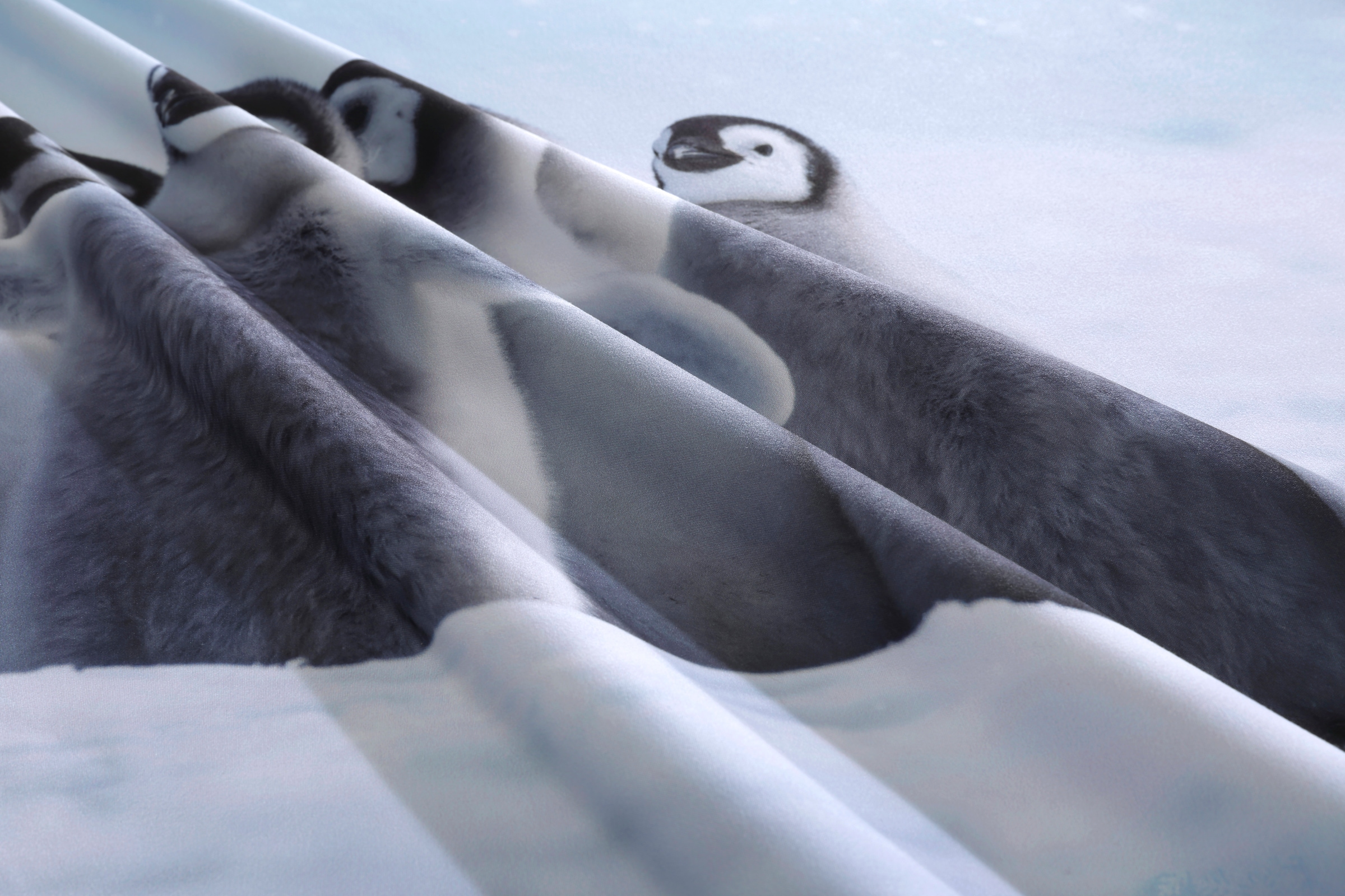 OTTO home Bettwäsche »Lyki«, ab Grösse 135x200 cm, 100% Polyester, Katze, Pferd, Löwe, Pinguin