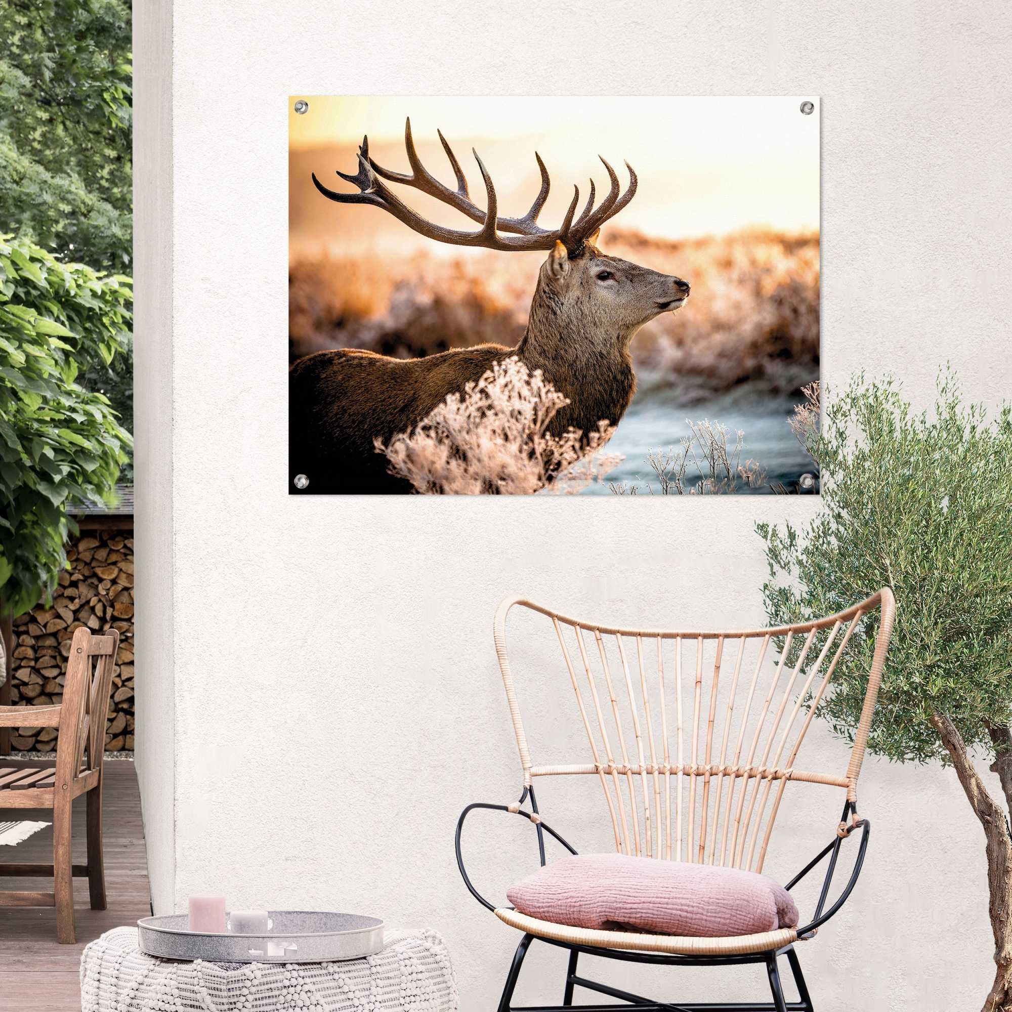 Reinders! Poster »Hirsch«, Outdoor für Garten oder Balkon online bestellen  | Jelmoli-Versand