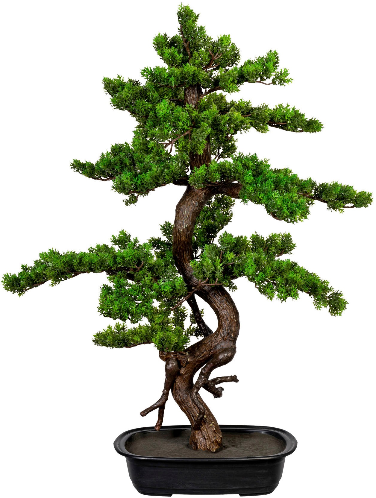 Creativ green Kunstbonsai »Bonsai«