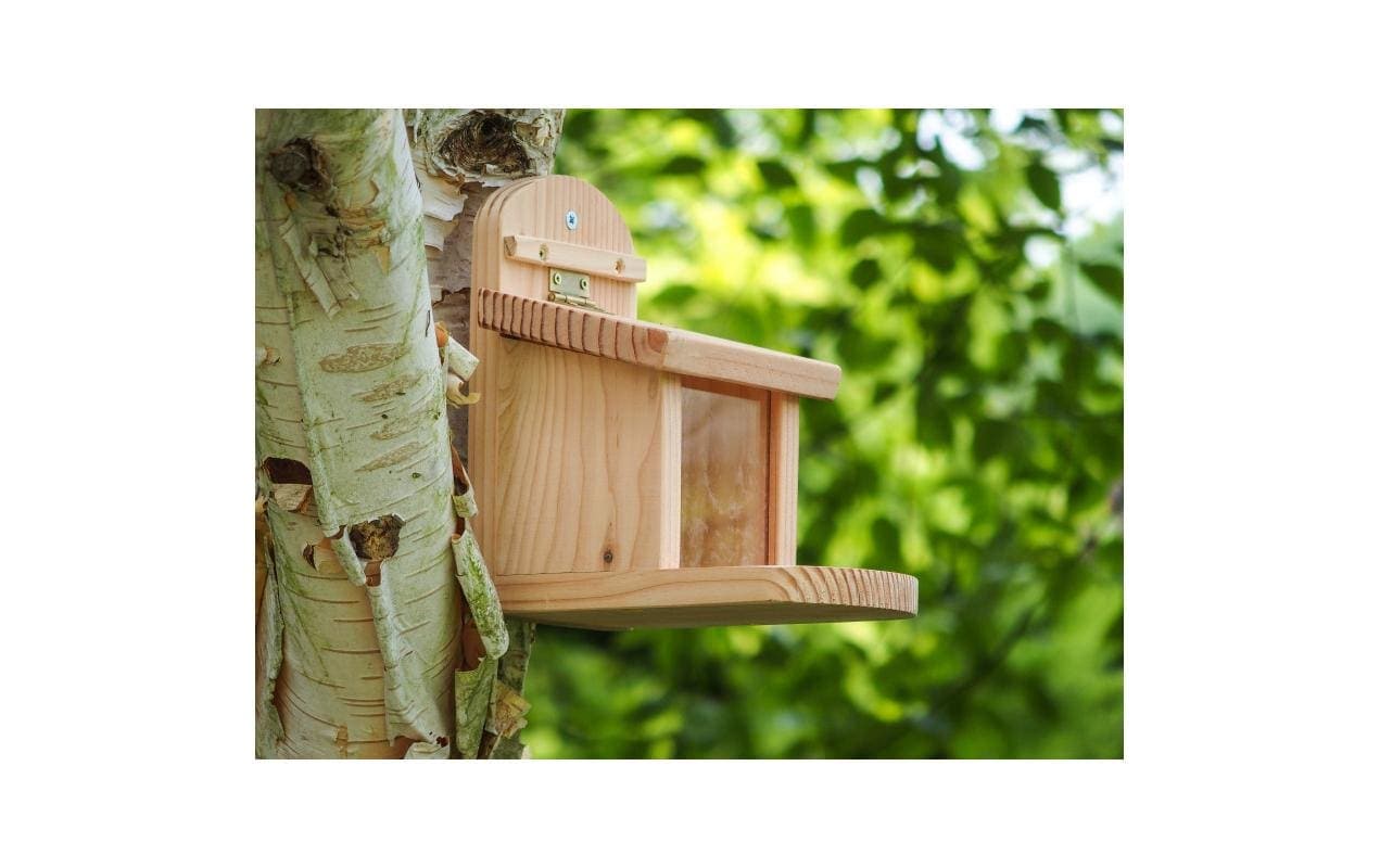 Futternapf »Wildlife World 23 x 17 x 19 cm, FSC Mix«