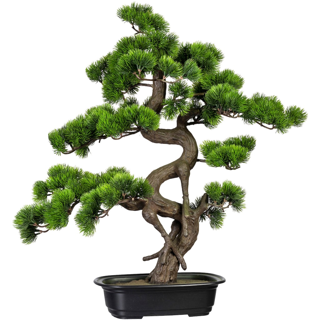 Creativ green Kunstbonsai »Bonsai Kiefer«