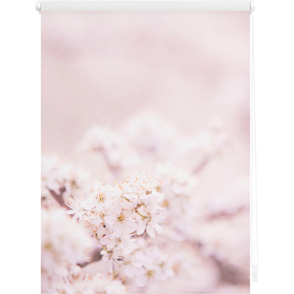 LICHTBLICK ORIGINAL Seitenzugrollo »Klemmfix Motiv Kirschblüten«, Lichtschutz, ohne Bohren, freihängend, bedruckt