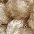 hellbeige