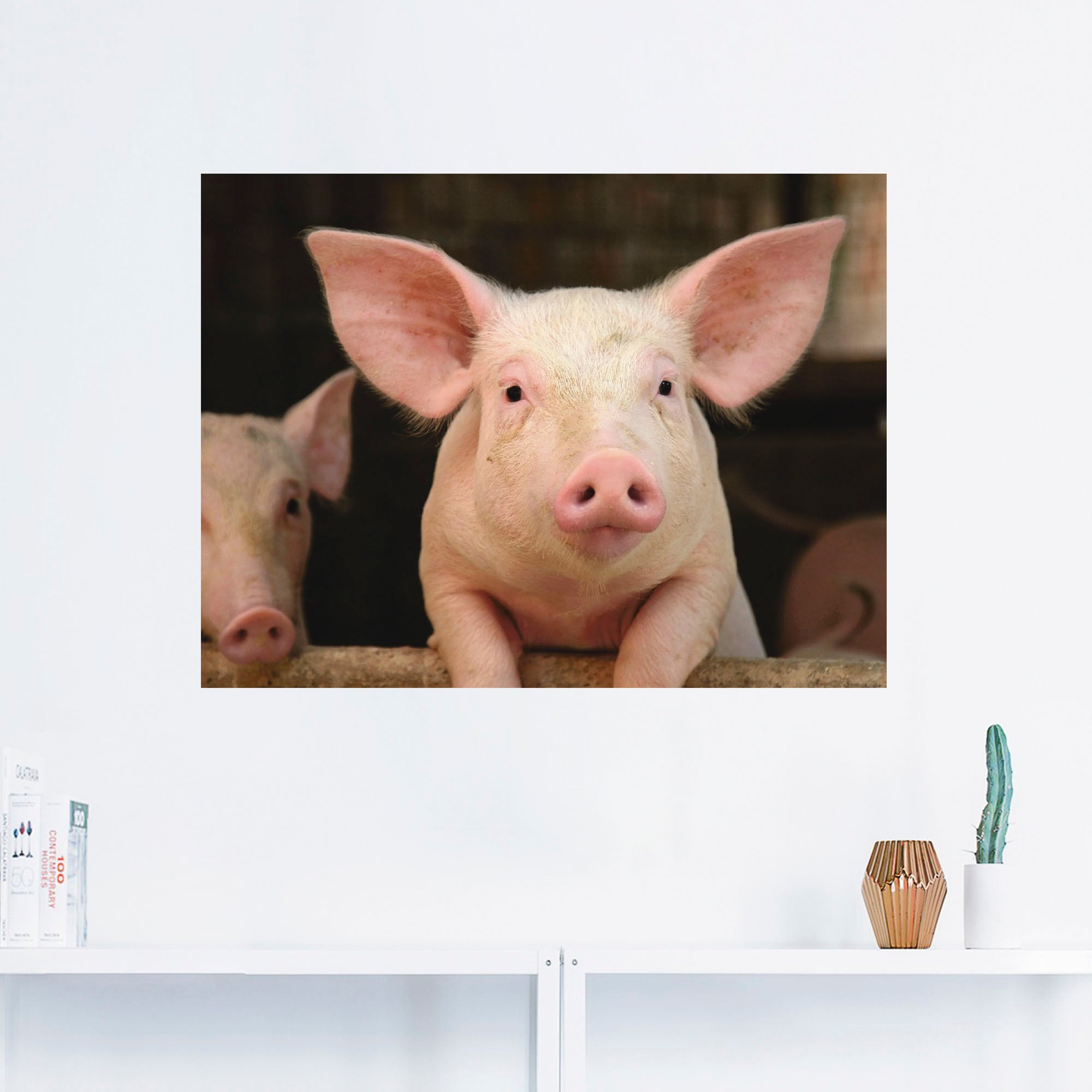 Artland Wandbild »Vorwitziges Schwein«, Haustiere, (1 St.), als Leinwandbild, Wandaufkleber in verschied. Grössen