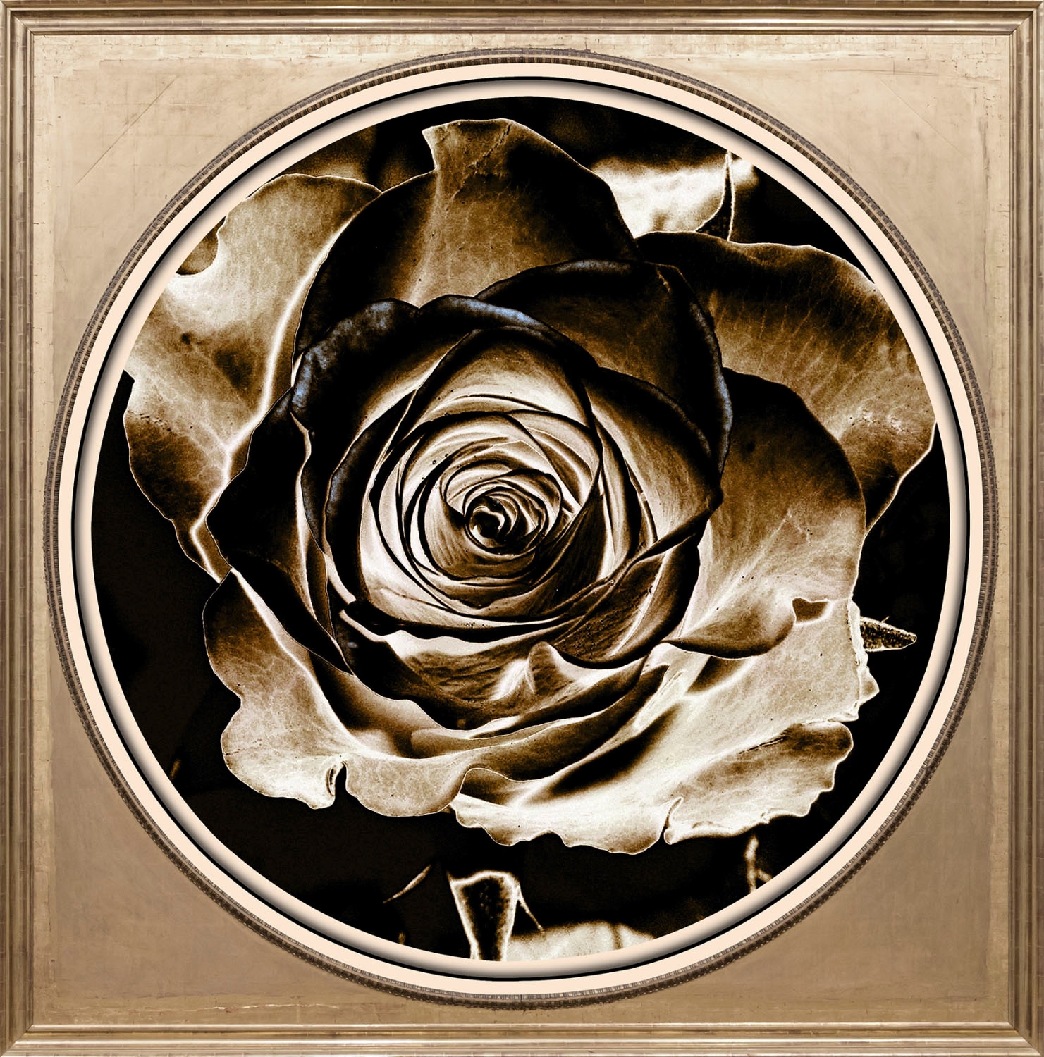queence Acrylglasbild »Rose«