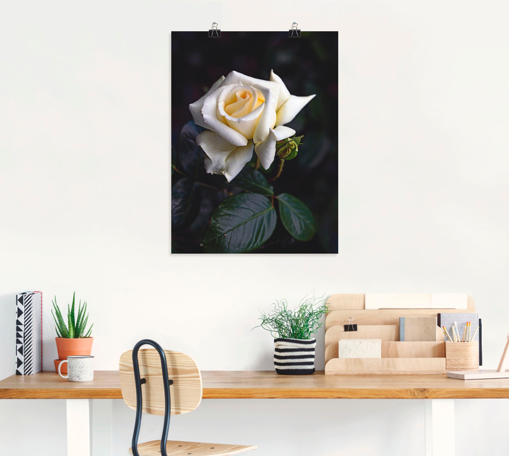 Artland Wandbild »Weiss-gelbe Rose«, Blumen, (1 St.), als Leinwandbild, Poster in verschied. Grössen