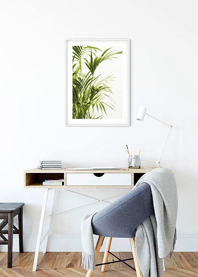 ❤ Komar Poster »Reed Leaves«, Pflanzen-Blätter, (1 St.), Kinderzimmer,  Schlafzimmer, Wohnzimmer kaufen im Jelmoli-Online Shop