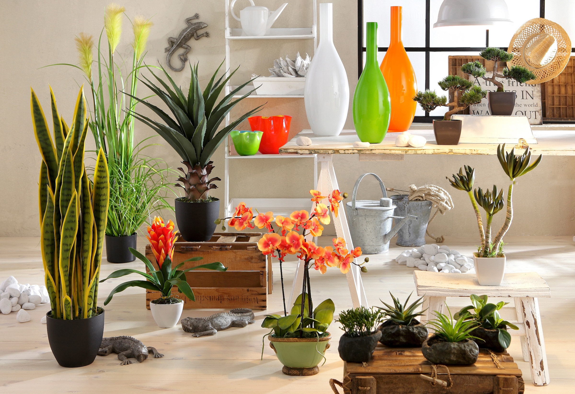 Home affaire 4er »Sukkulenten«, | online Set Kunstpflanze Jelmoli-Versand kaufen