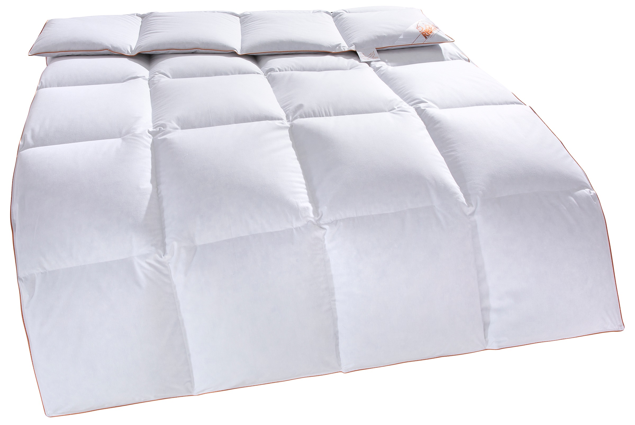 RIBECO Daunenbettdecke "Richard, Bettdecken für Sommer oder Winter, Made in Germany" extrawarm Füllung 90Daune10Federn 1 Stk. tlg. Bettdecke 135x200 cm, 155x220 cm und weitere Größen, Decke