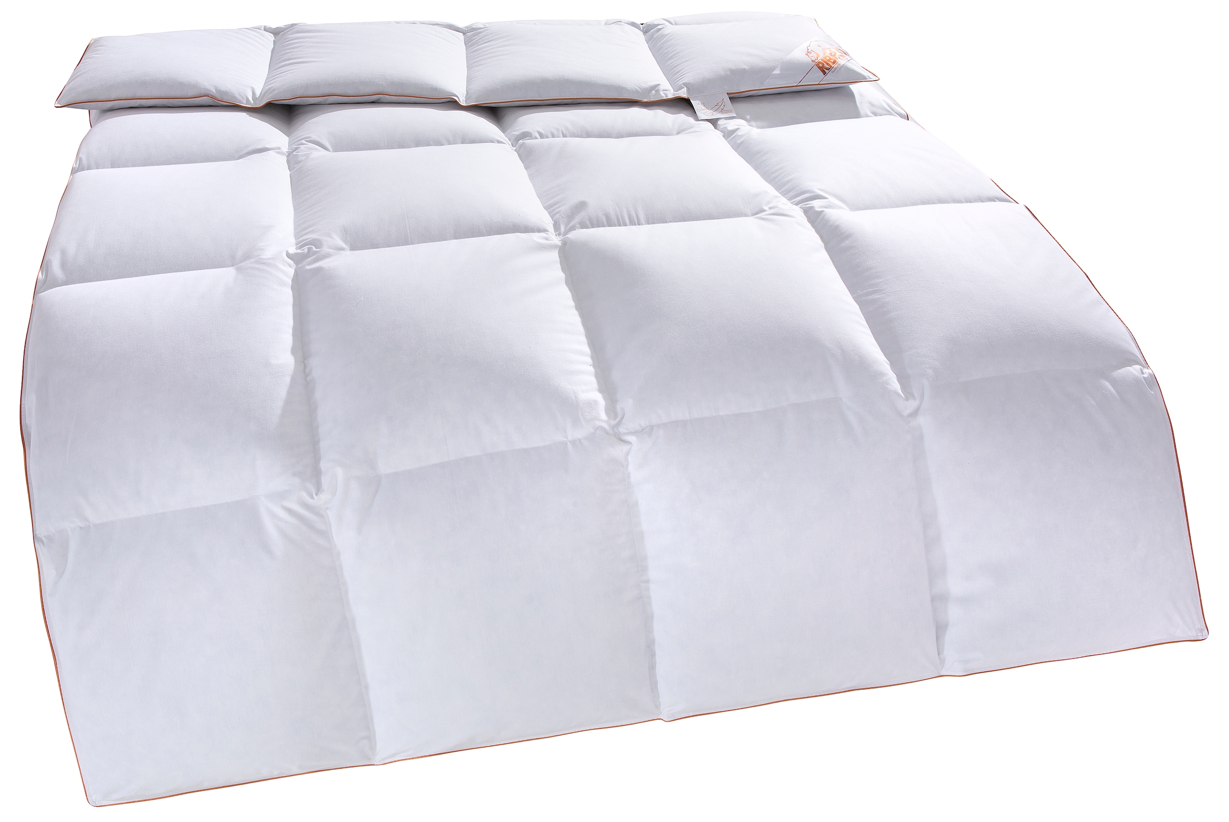 RIBECO Daunenbettdecke "Richard, Bettdecken für Sommer oder Winter, Made in Germany" leicht Füllung 90Daune10Federn 1 Stk. tlg. Bettdecke 135x200 cm, 155x220 cm und weitere Größen, Decke