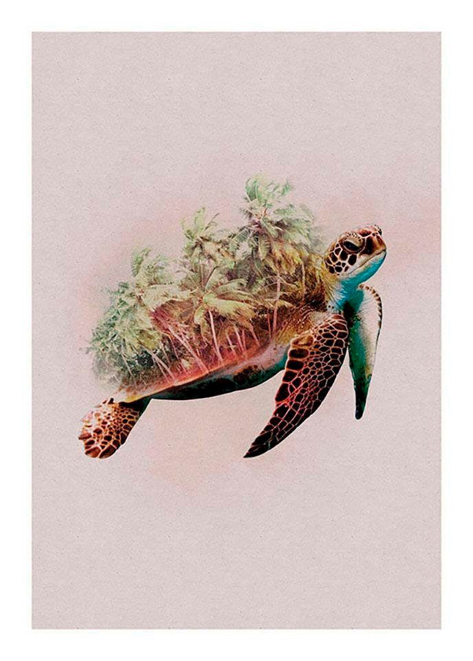 ❤ Komar Poster »Animals Wohnzimmer Shop Schlafzimmer, im Turtle«, Paradise kaufen Tiere, Kinderzimmer, Jelmoli-Online