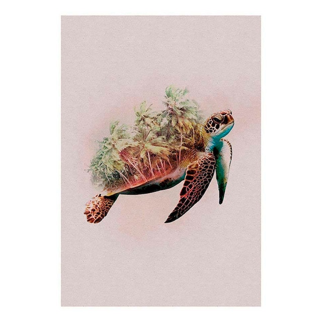 ❤ Komar Poster »Animals Paradise Turtle«, Tiere, Kinderzimmer, Schlafzimmer,  Wohnzimmer kaufen im Jelmoli-Online Shop