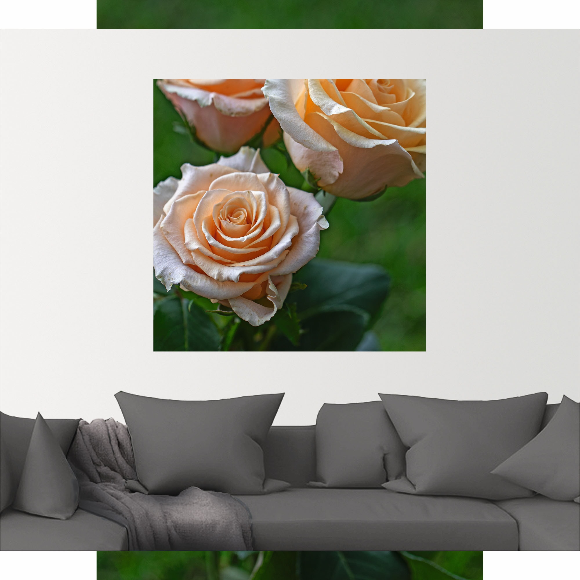 »wunderschöne online Artland in Wandbild kaufen Rosen«, versch. Alubild, | oder Leinwandbild, (1 als Poster Jelmoli-Versand Grössen St.), Wandaufkleber Blumenbilder,