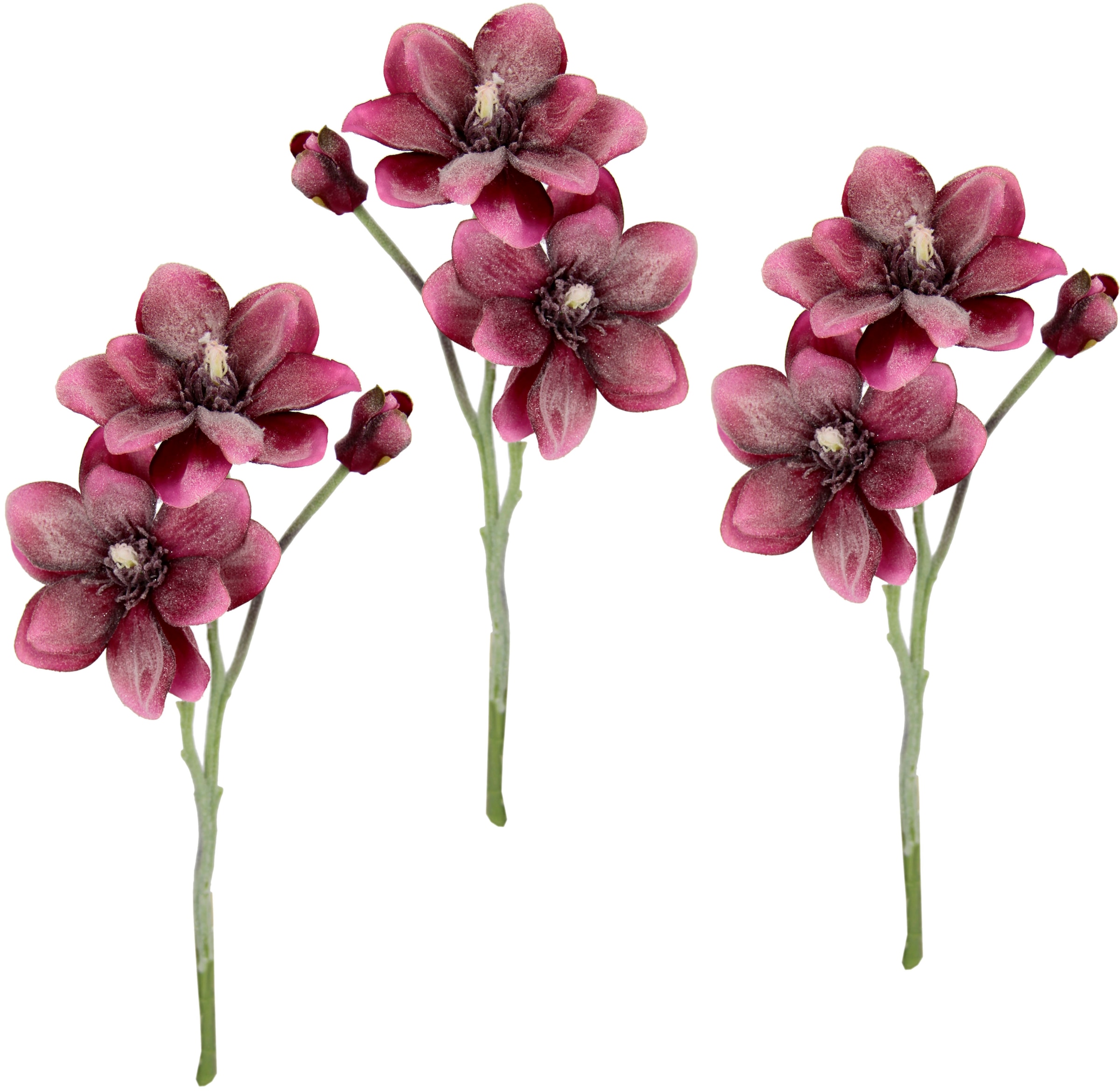 »Magnolie«, Magnolienzweig, I.GE.A. Künstlicher kaufen 3er Kunstblume Set online Jelmoli-Versand |
