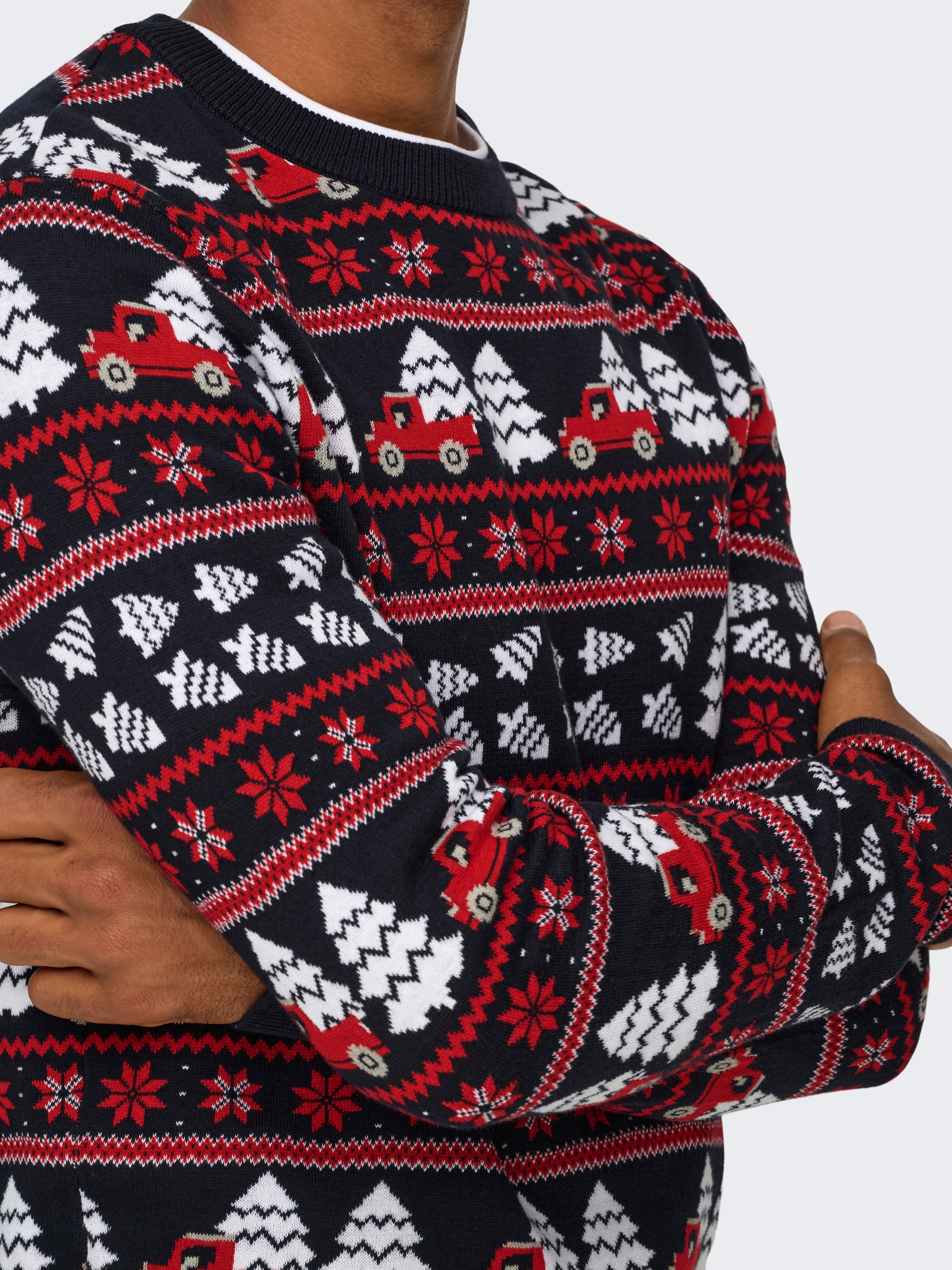 ONLY & SONS Rundhalspullover »ONSXMAS REG 5 JAQ CREW KNIT«