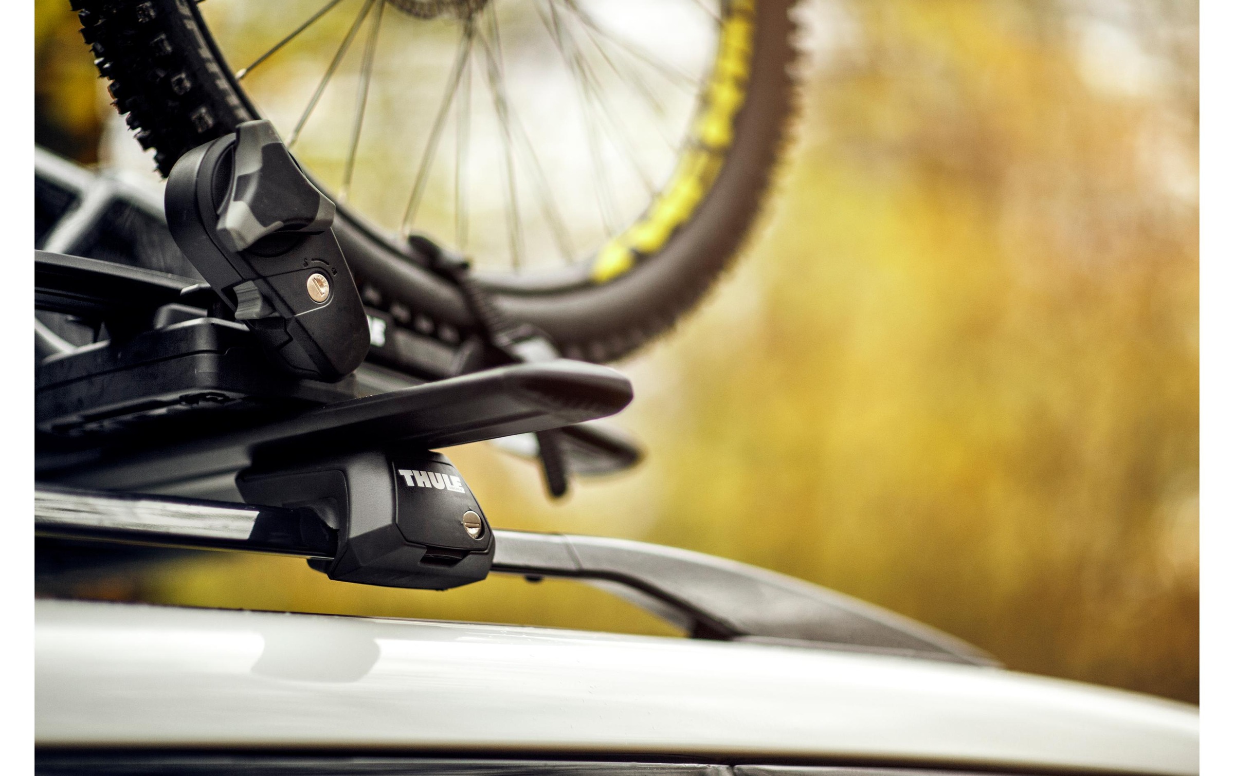 Thule Dachträgerbefestigung »Raised Rail Evo 4 Stk«