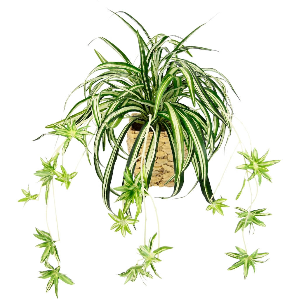 I.GE.A. Kunstpflanze »Wasserlilie«