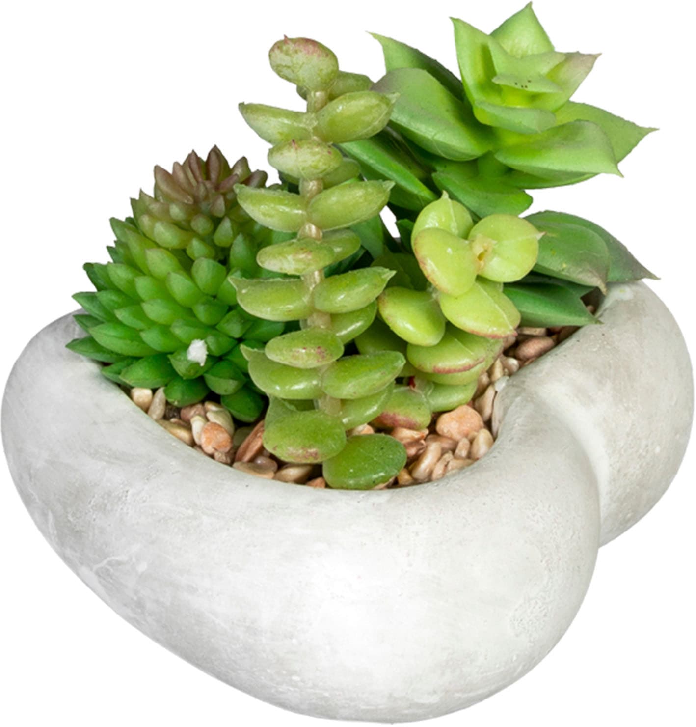 | bestellen green Set 3er in online Künstliche Zementschale, »Sukkulentenarrangement«, Creativ Jelmoli-Versand Zimmerpflanze