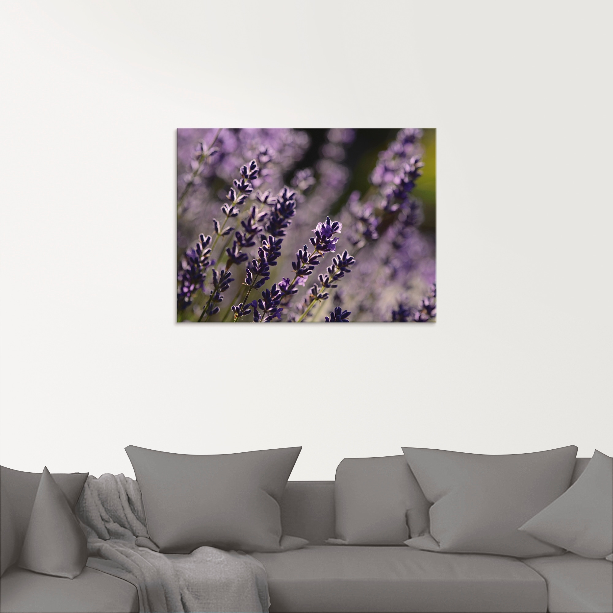 Artland Glasbild »Lavendel Nahaufnahme«, Blumen, (1 St.), in verschiedenen Grössen