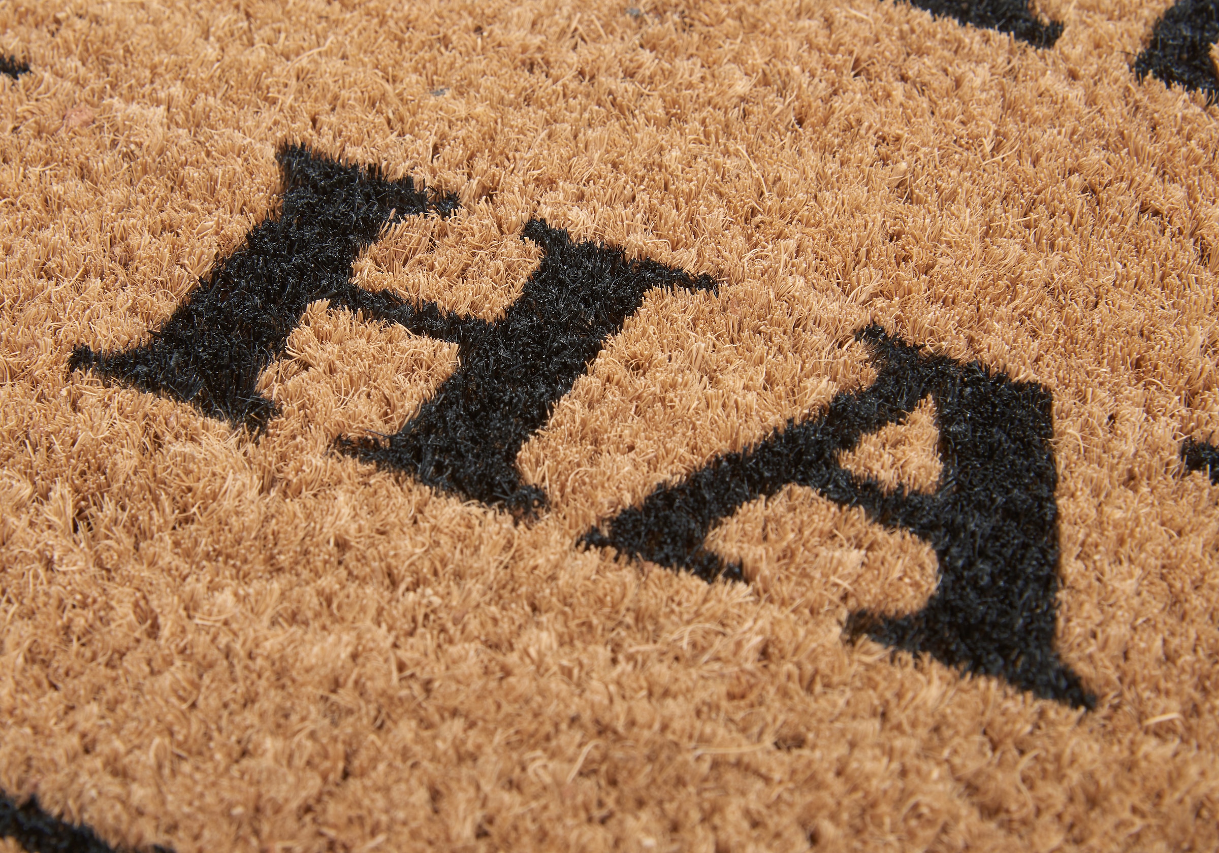 HANSE Home Fussmatte »Mix Mats Kokos Prosecco, Türmatte«, rechteckig, 15 mm Höhe, Kokos, Schmutzfangmatte, Outdoor, Rutschfest, Innen, Kokosmatte, Flur