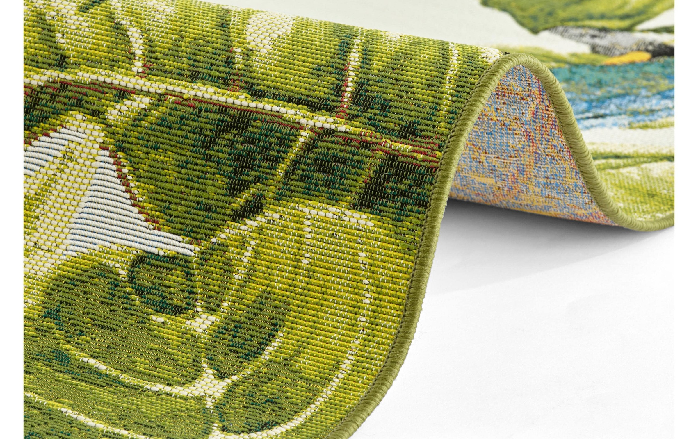 HANSE Home Teppich »Tropical Birds 80 cm x 165 cm«