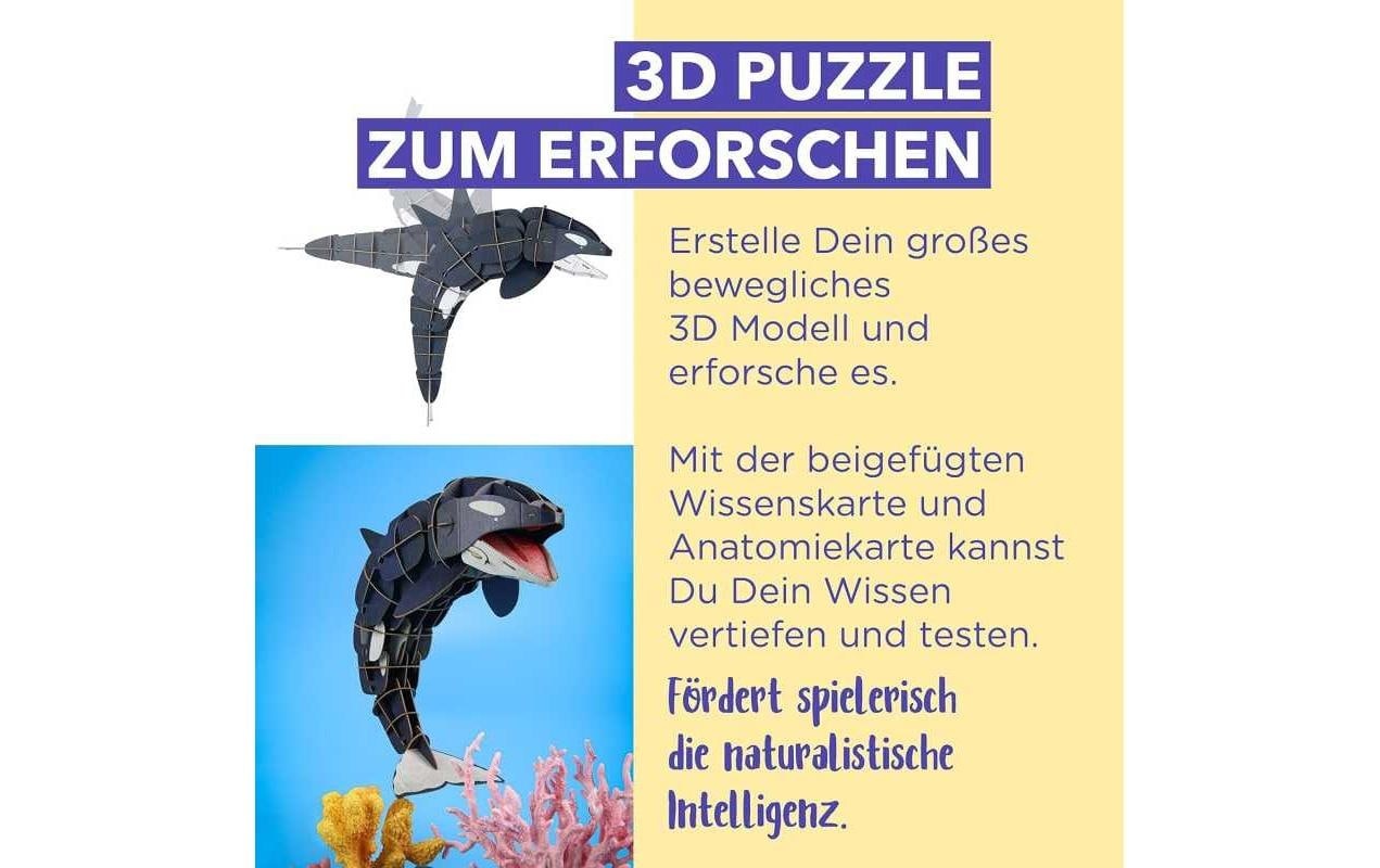 3D-Puzzle »mierEdu Eco – Der Orca«