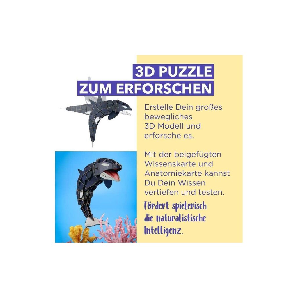 3D-Puzzle »mierEdu Eco – Der Orca«