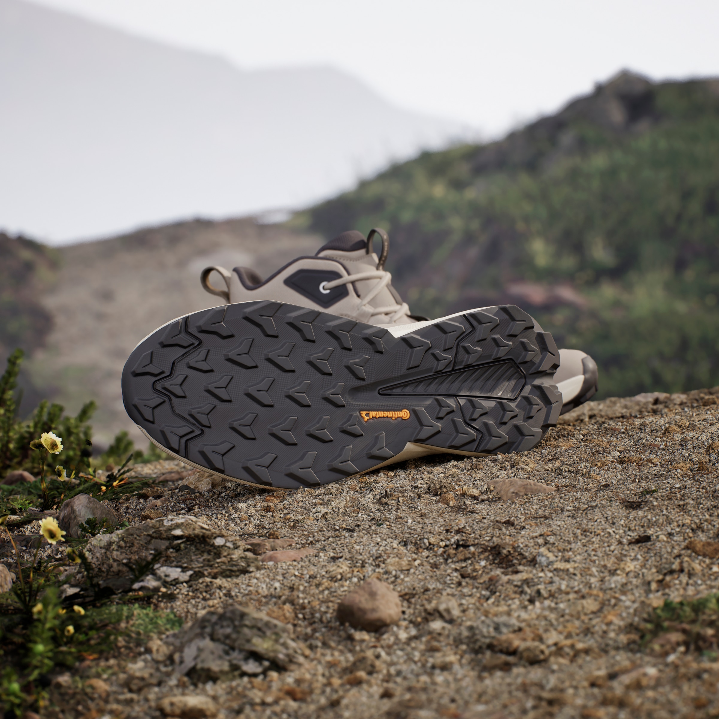 adidas TERREX Wanderschuh »TERREX TRAILMAKER 2.0 LEATHER«