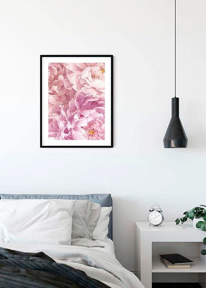 Komar Bild »Sauve«, Blumen, (1 St.), Wandbild zur Dekoration - ohne Rahmen