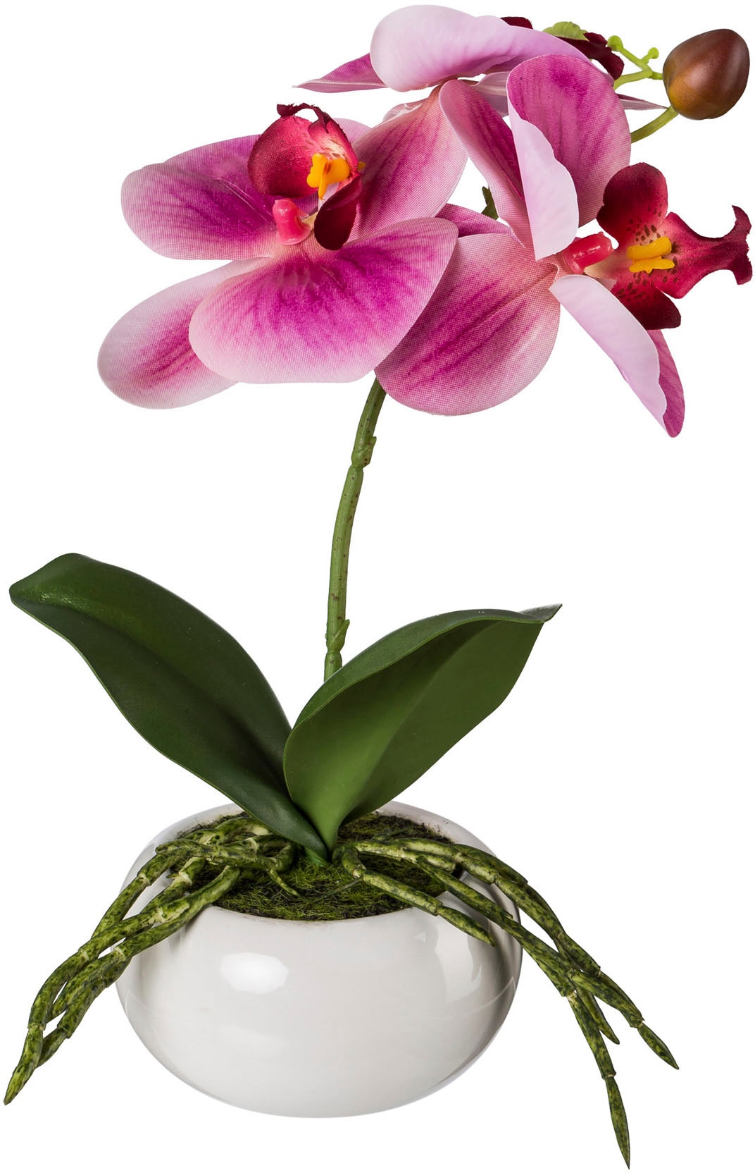 Creativ green Kunstorchidee »Phalaenopsis in Keramikschale«, mit Real-Touch-Blüten
