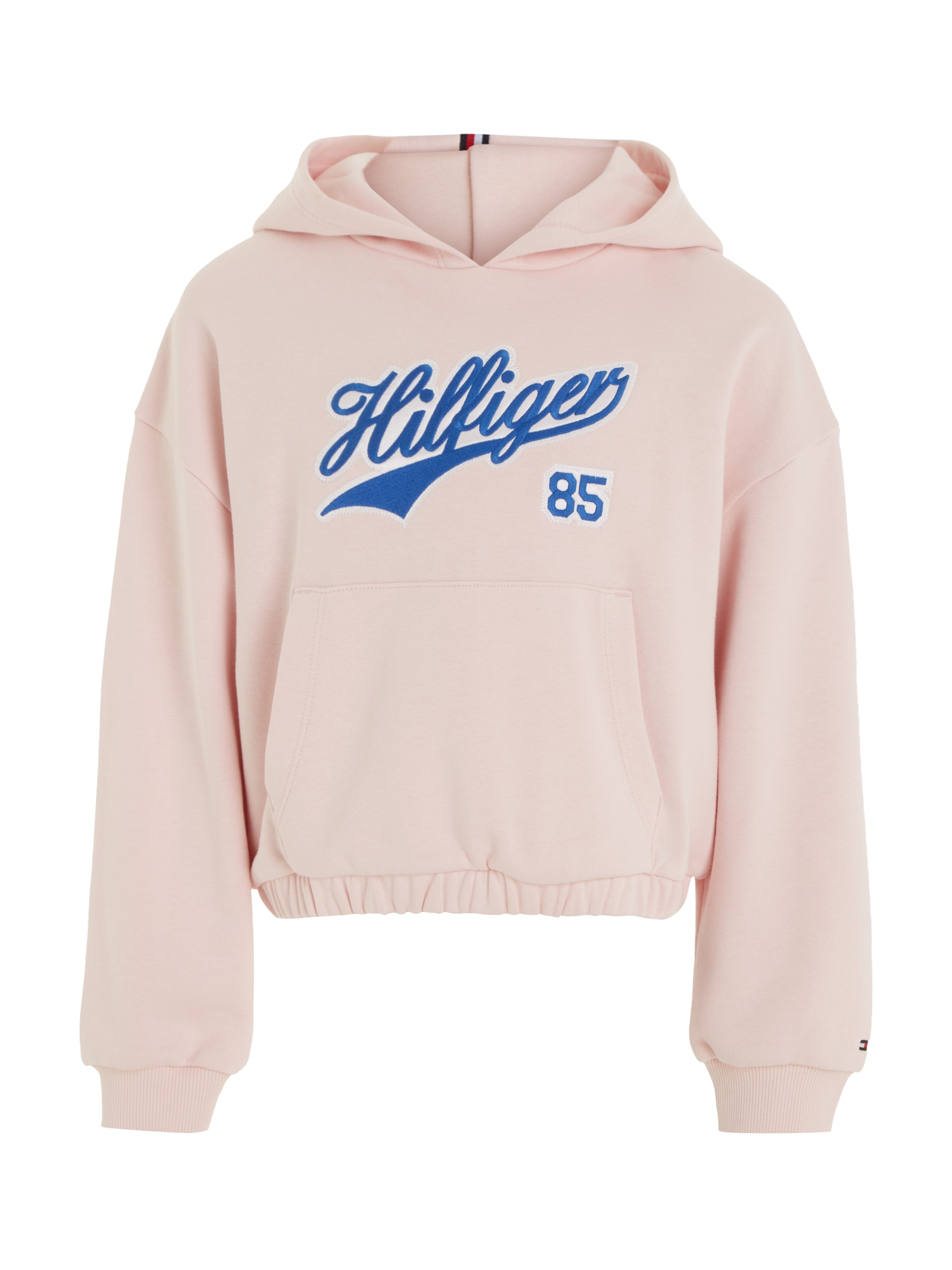 ✵ Tommy Hilfiger Kapuzensweatshirt »HILFIGER SCRIPT HOODIE«, mit  Logo-Stickerei günstig entdecken | Jelmoli-Versand