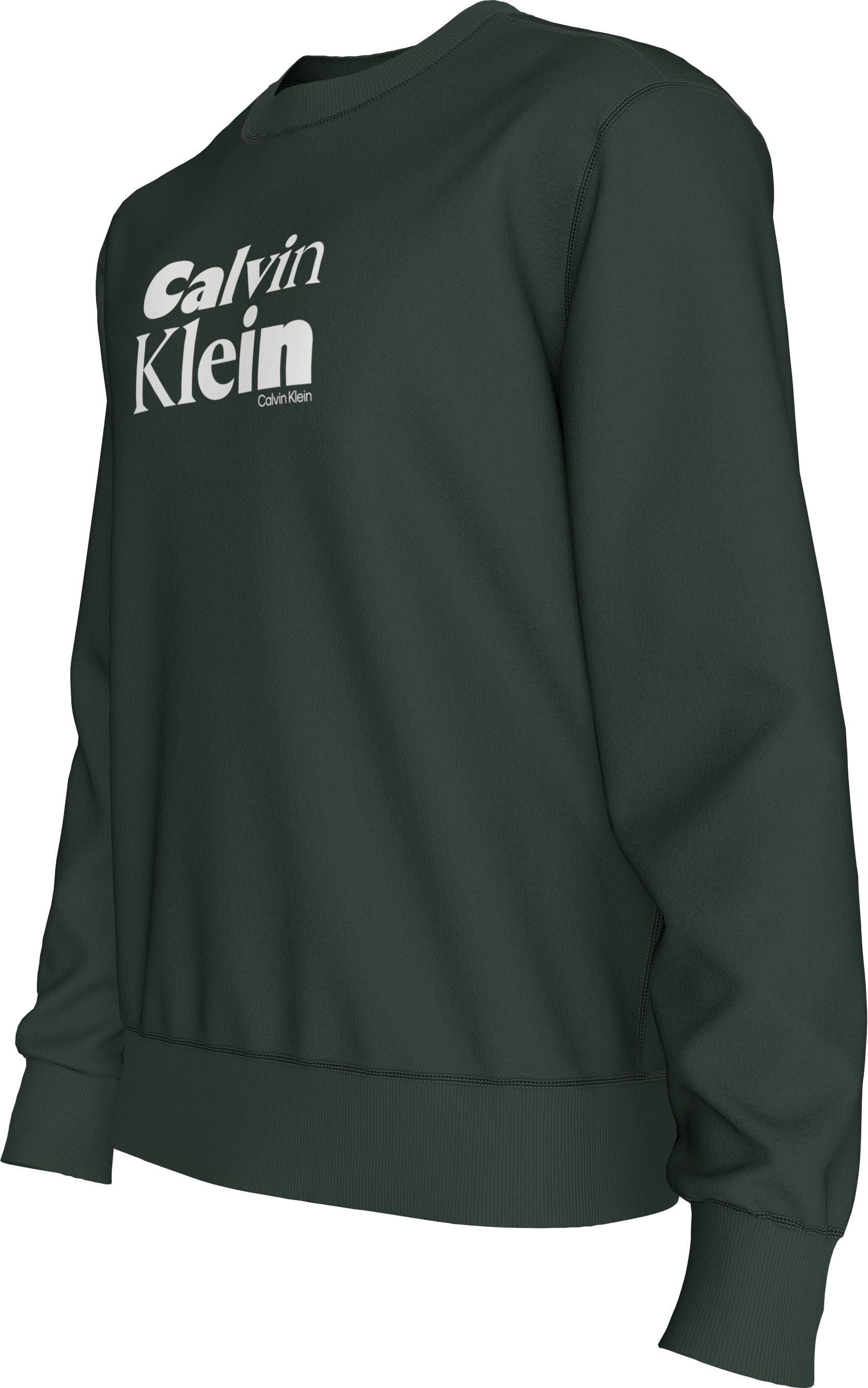 Calvin Klein Sweatshirt »LS EU 350TERRY CALVIN BOLD GRAPH«, Rundhalsausschnitt, regular fit