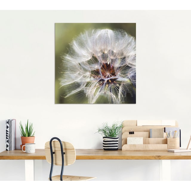 Artland Wandbild »Pusteblume II«, Blumen, (1 St.), als Alubild, Leinwandbild,  Wandaufkleber oder Poster in versch. Grössen online bestellen |  Jelmoli-Versand