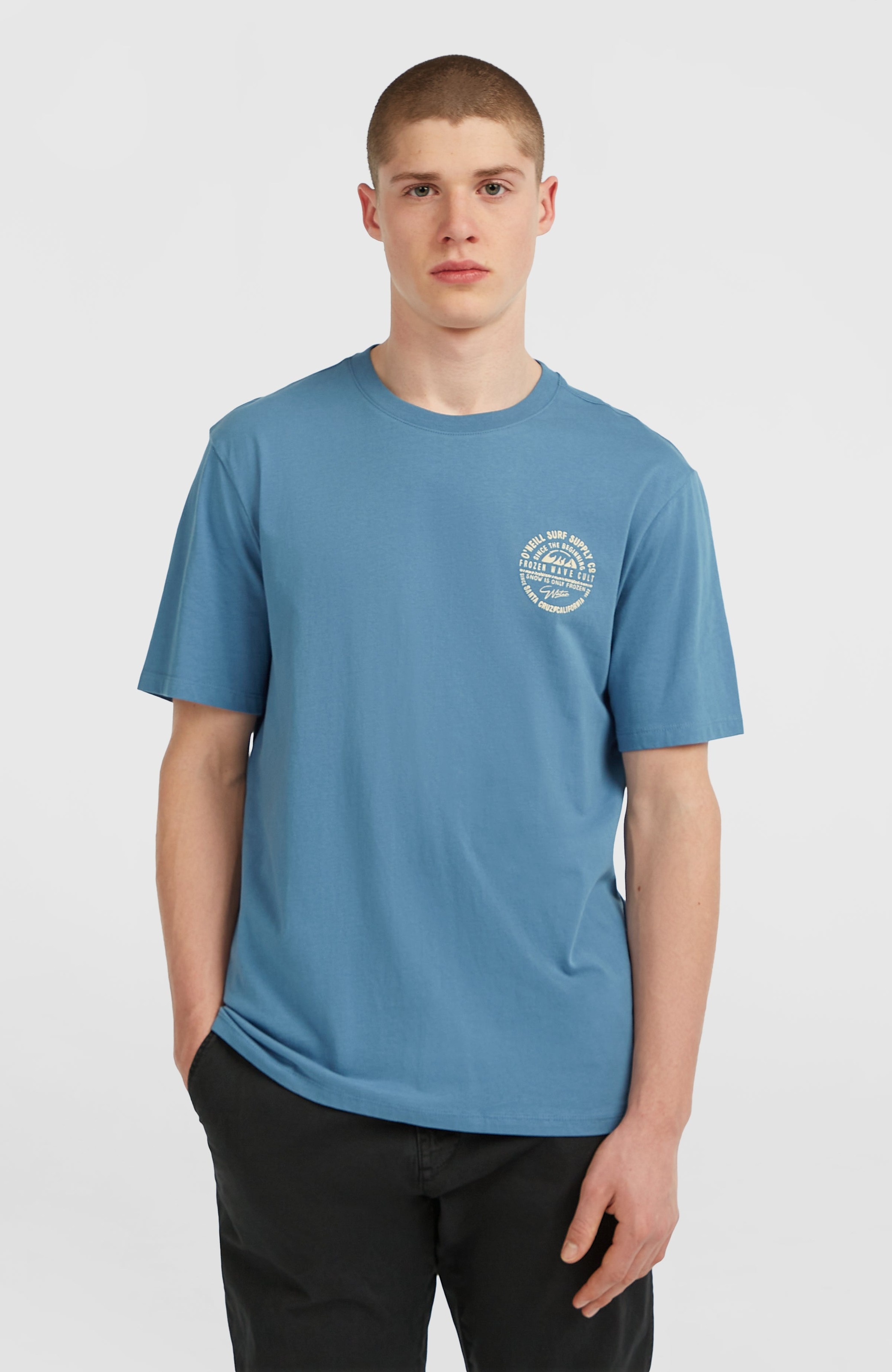 O'Neill T-Shirt »O'NEILL CHEST PRINT T-SHIRT« 1 Stk. sportlicher Stil, für verschiedene Anlässe, aus Baumwolljersey