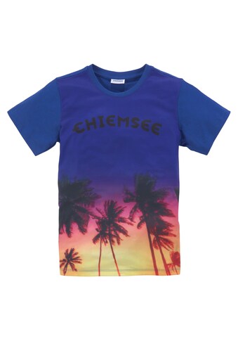 Chiemsee T-Shirt, Grosser Fotodruck kaufen