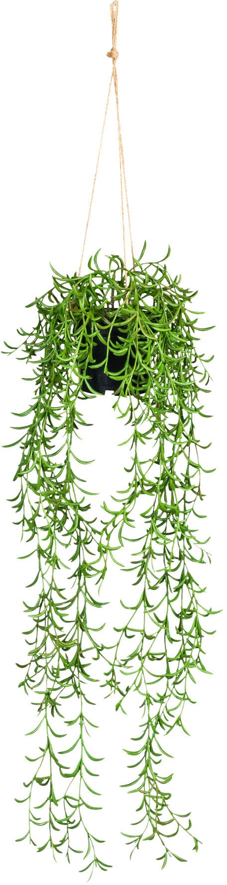 Creativ green Kunstranke »Nerifolia-Hänger«, im Hängetopf aus Kunststoff