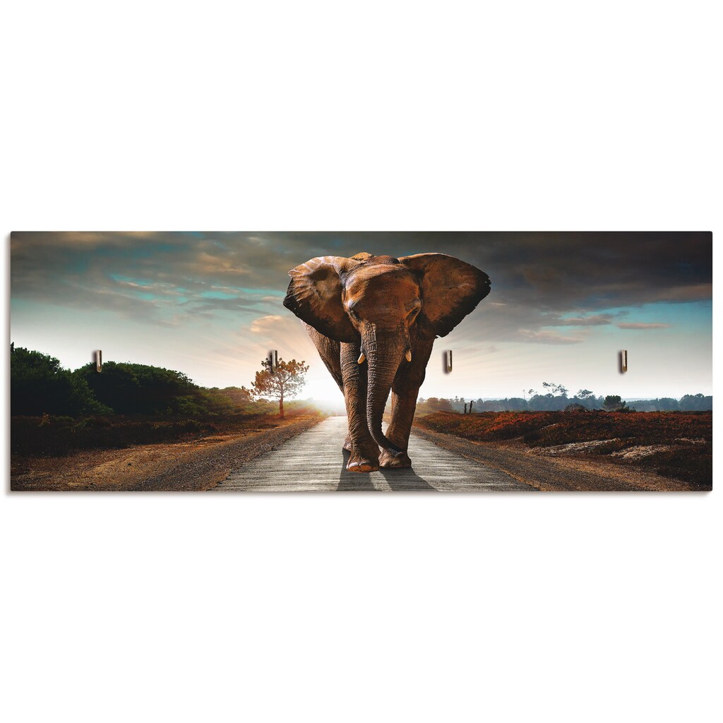 Artland Hakenleiste »Ein Elefant läuft auf der Strasse«