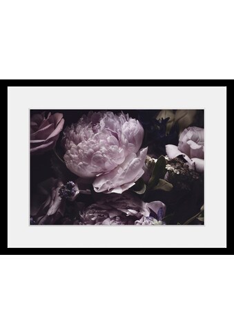 queence Bild »Lila«, Blumen, (1 St.) kaufen