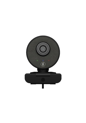 Webcam »BOX IB-CAM501-HD«