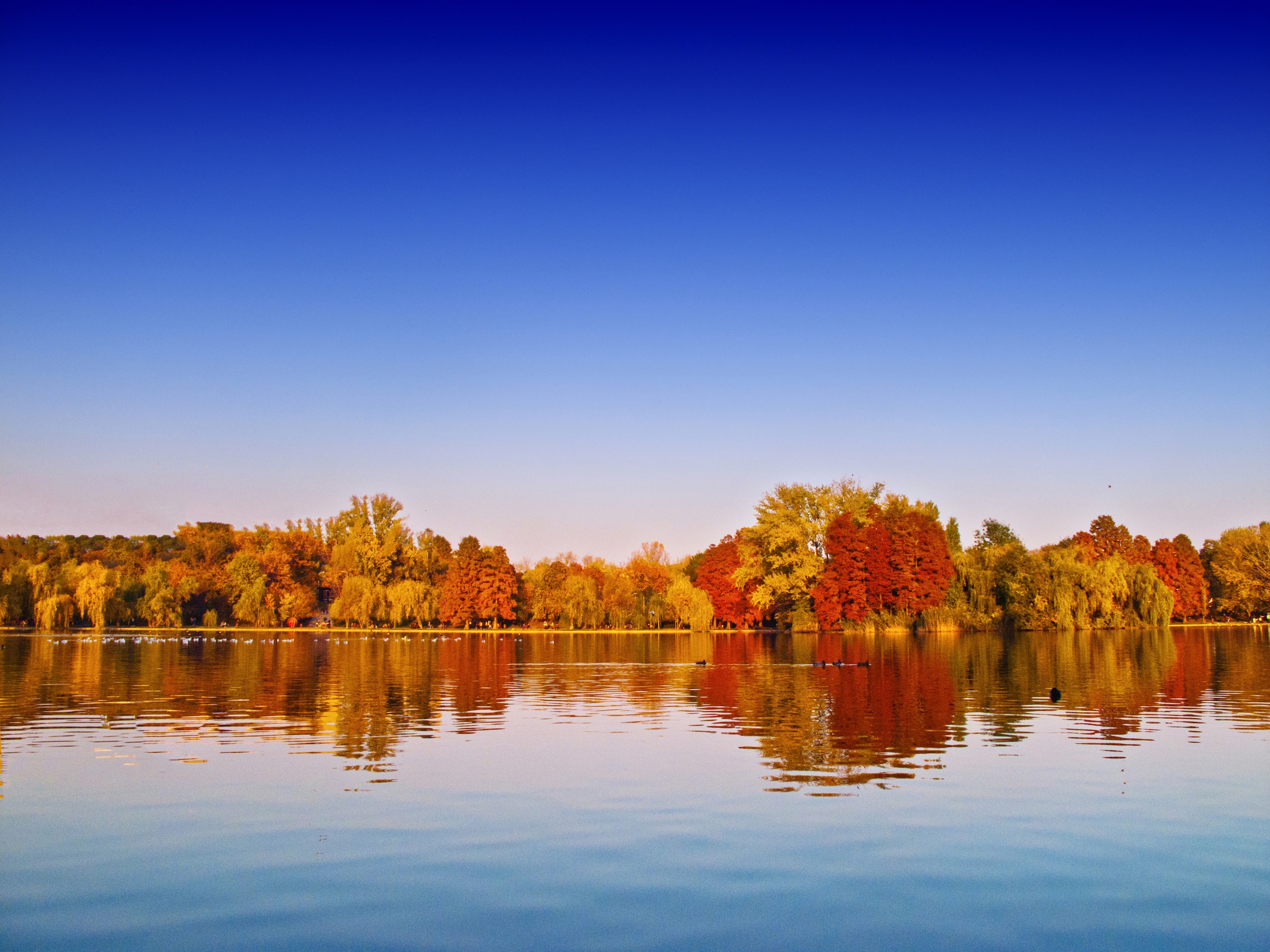 Papermoon Fototapete »Autumn Lake«