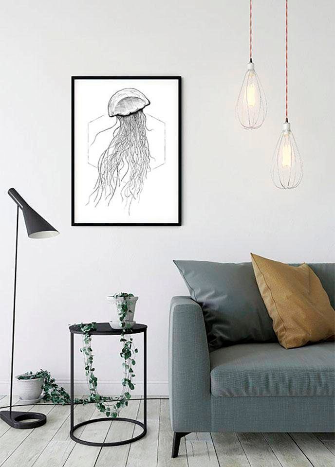 Top-Design ❤ Komar Poster »Jellyfish White«, Schlafzimmer, entdecken Kinderzimmer, im Tiere, Shop (1 Wohnzimmer Jelmoli-Online St.)