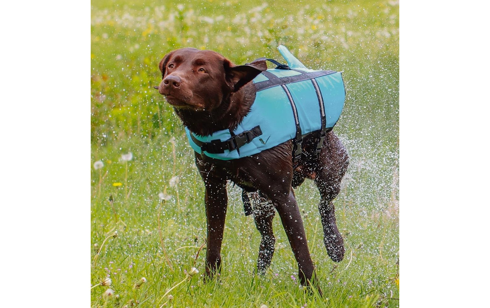 Nobby Hundeweste "Sharki XS, 25 cm"