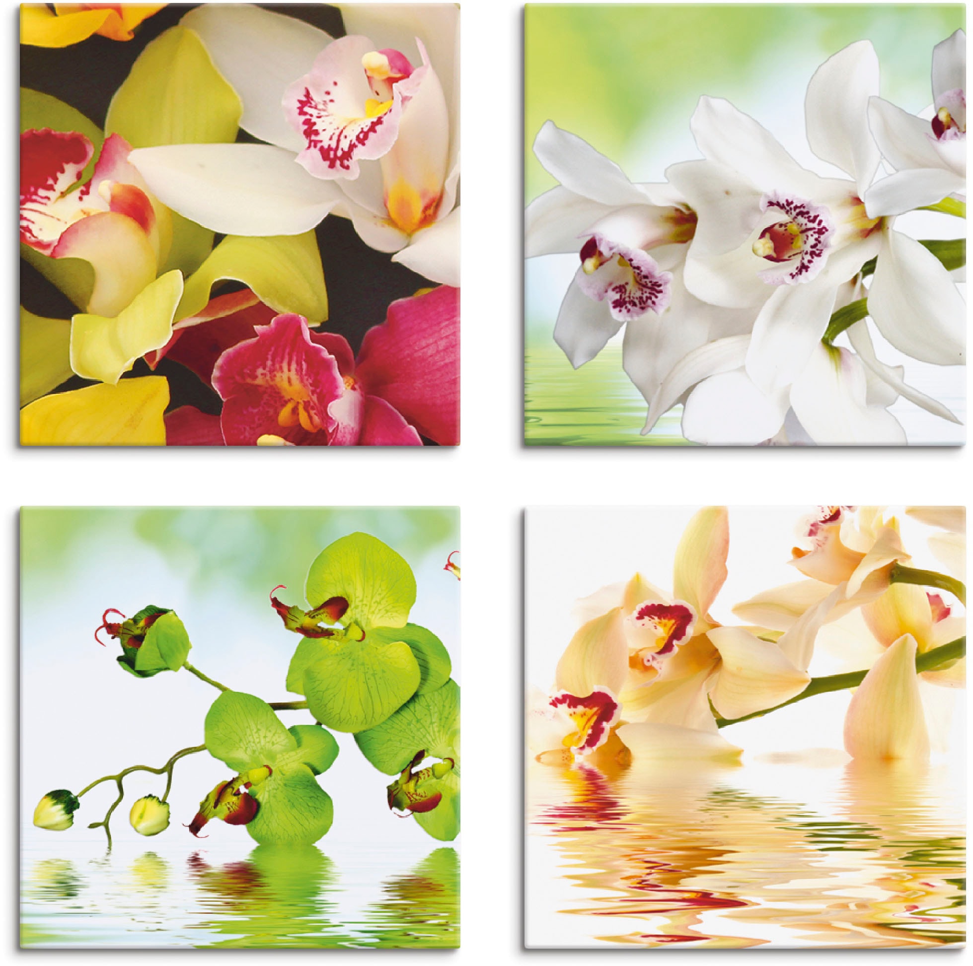 Artland Leinwandbild »Orchideen Blumen«, Blumen, (4 St.), 4er Set, verschiedene  Grössen online shoppen | Jelmoli-Versand