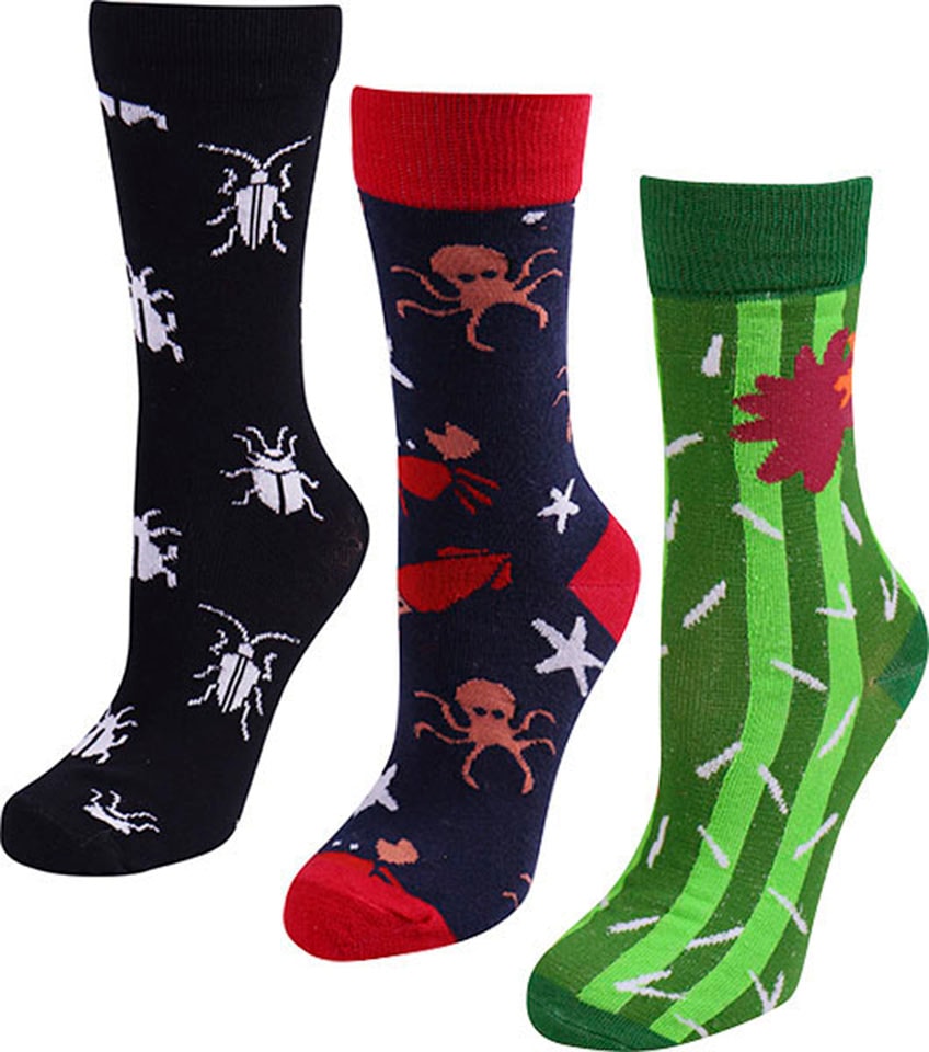 Capelli New York Design Socken, Online Shop lustigem mit (Packung, | 3 Jelmoli-Versand Paar)