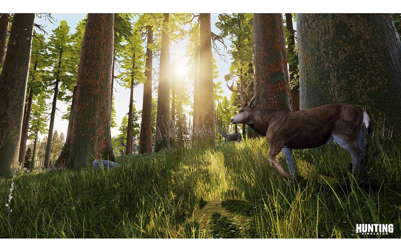 BigBen Spielesoftware »Hunting Simulator«, Nintendo Switch, Standard Edition