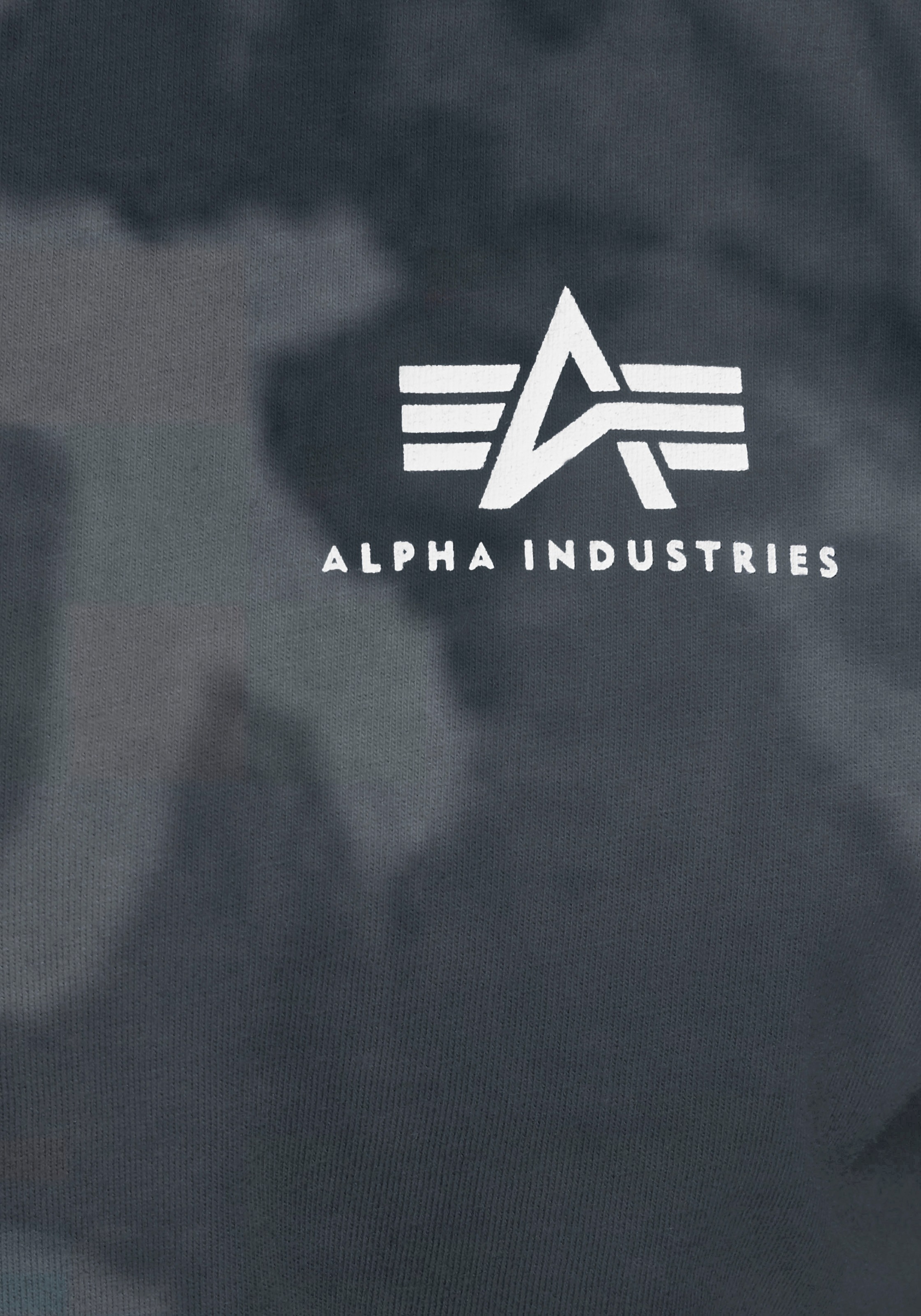 Alpha Industries Rundhalsshirt »BASIC T SMALL LOGO«