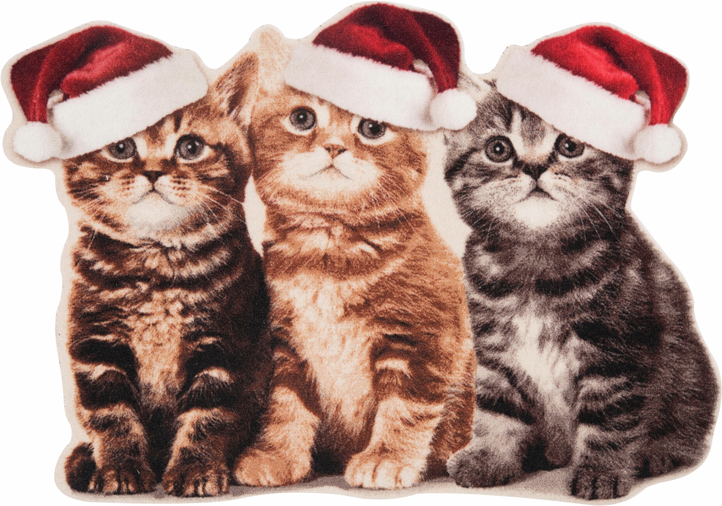 ❤ HANSE Home Fussmatte »Weihnachtskatzen«, rechteckig, 7 mm Höhe, In und  Outdoor geeignet, Motiv Katzen, Pflegeleicht, Rutschfest, Weihnachten,  Waschbar bestellen im Jelmoli-Online Shop