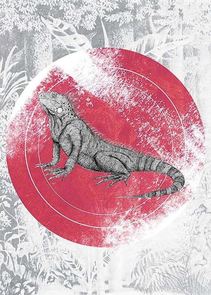 ❤ Komar Poster »Iguana Circle«, Tiere, (1 St.), Kinderzimmer, Schlafzimmer,  Wohnzimmer kaufen im Jelmoli-Online Shop