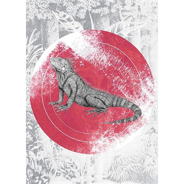 ❤ Komar Poster »Iguana Circle«, Tiere, (1 St.), Kinderzimmer, Schlafzimmer,  Wohnzimmer kaufen im Jelmoli-Online Shop